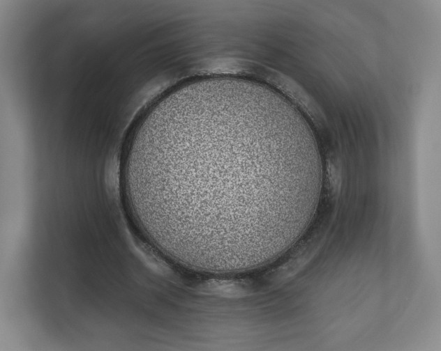 X0000110700534200906191529