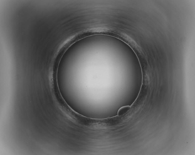 X0000110700535200906191529