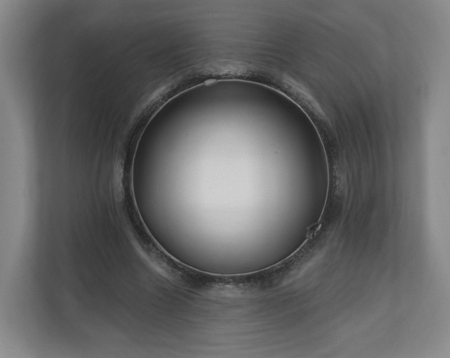 X0000110700538200906191529