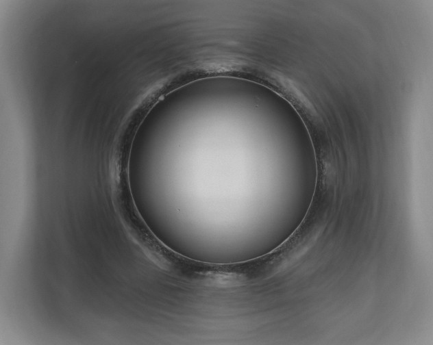 X0000110700539200906191529