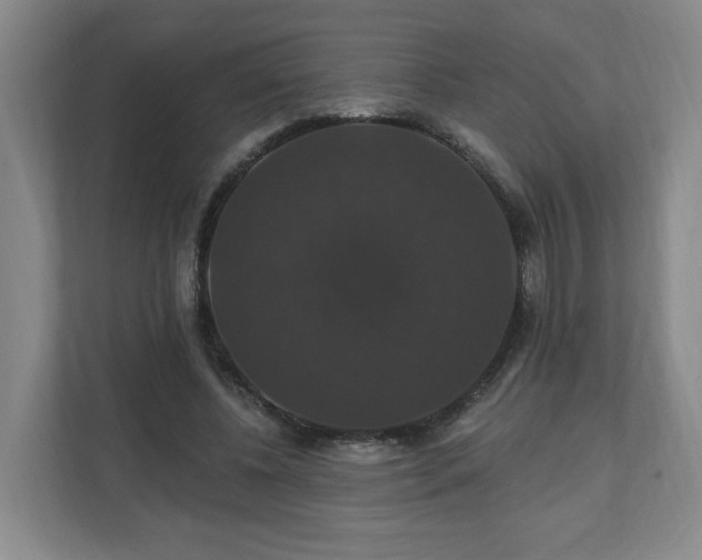 X0000110700540200906191529