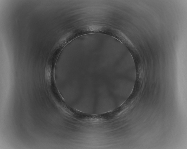 X0000110700542200906191529