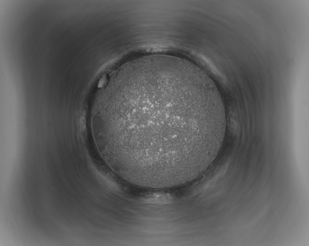 X0000110700543200906191529