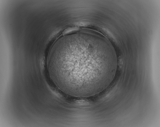 X0000110700544200906191529