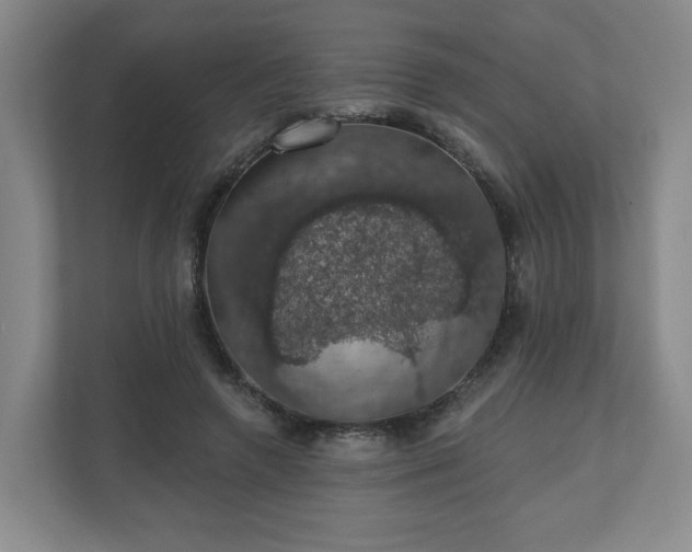 X0000110700546200906191529
