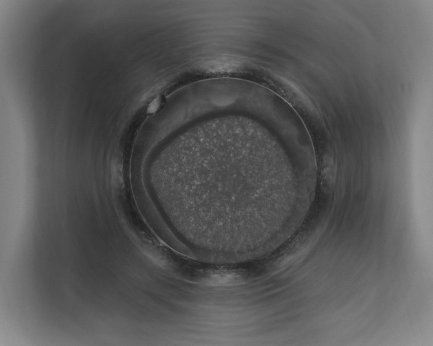 X0000110700547200906191529