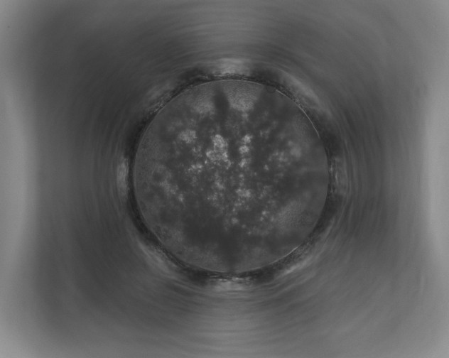 X0000110700550200906191529