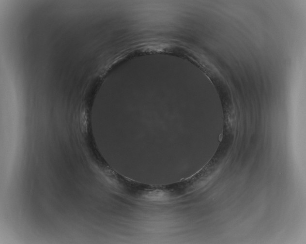 X0000110700551200906191529