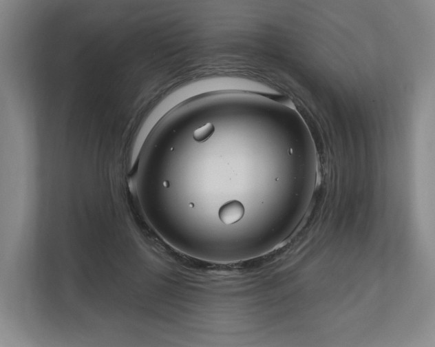 X0000110700552200906191529