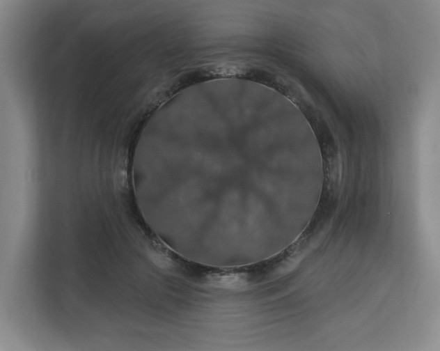 X0000110700553200906191529
