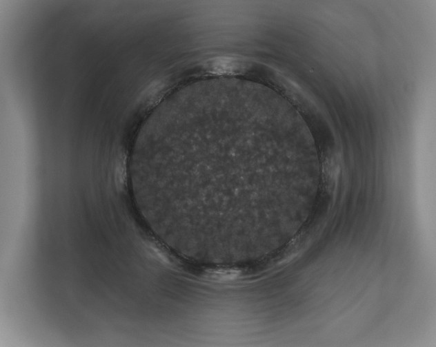 X0000110700554200906191529