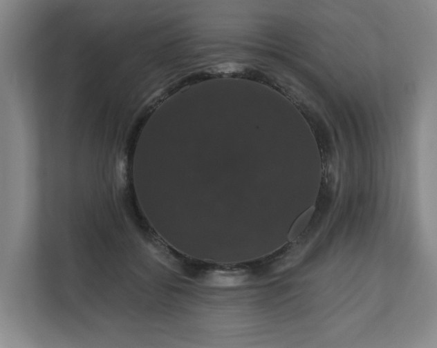 X0000110700556200906191529