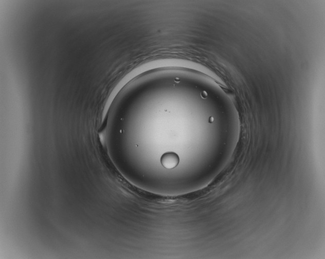 X0000110700558200906191529