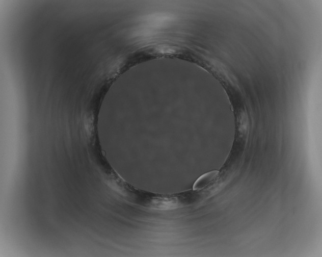 X0000110700559200906191529