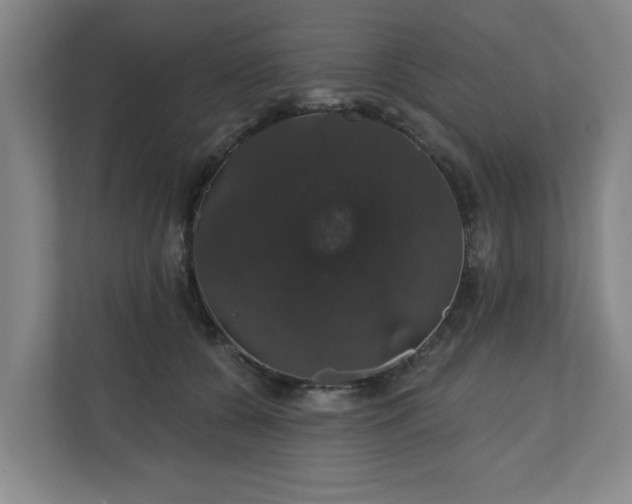 X0000110700560200906191530