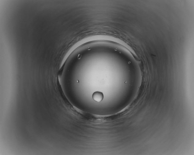 X0000110700562200906191530