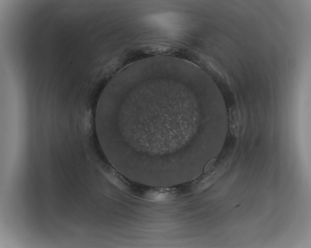 X0000110700563200906191530