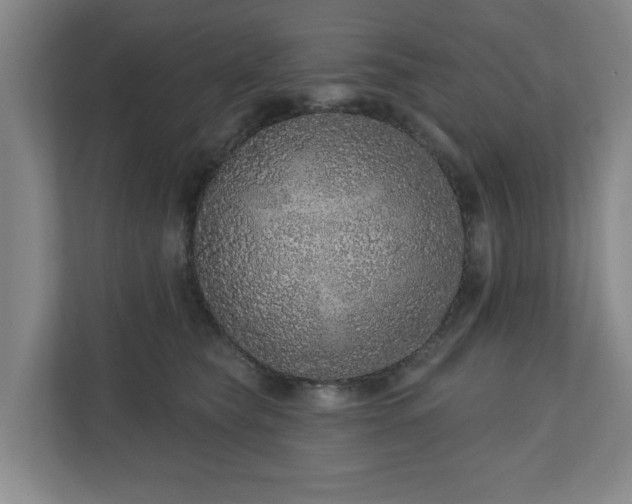 X0000110700565200906191530