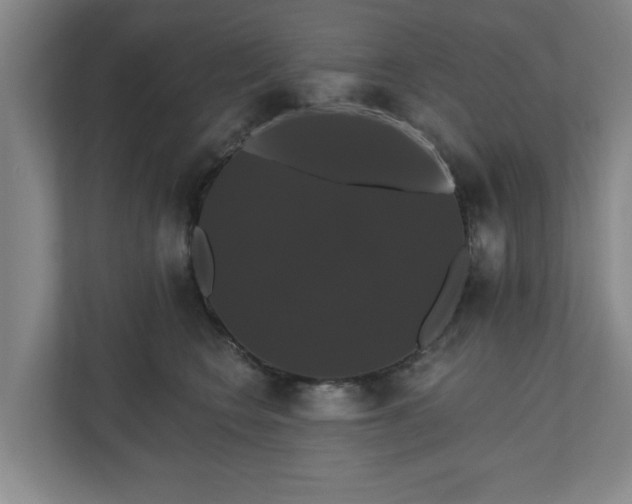 X0000110700566200906191530