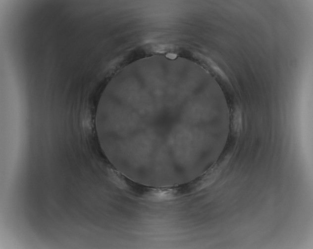 X0000110700569200906191530