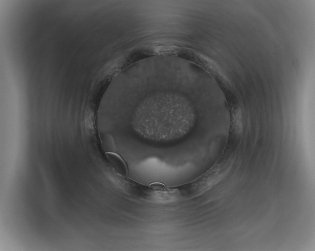 X0000110700571200906191530