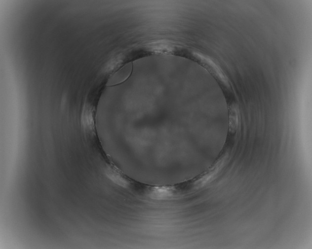 X0000110700573200906191530