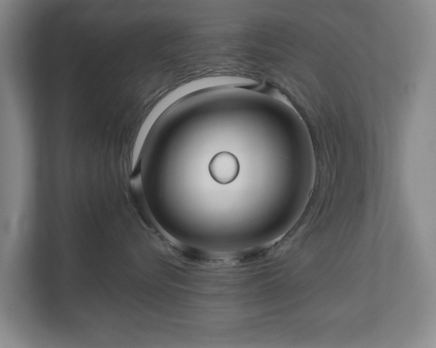 X0000110700576200906191530