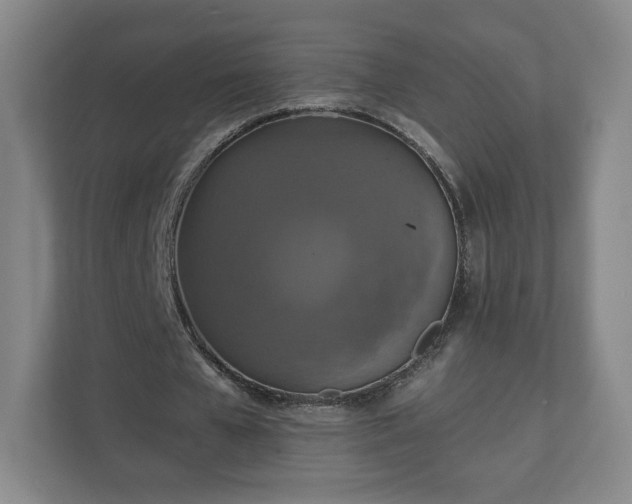 X0000110700577200906191529
