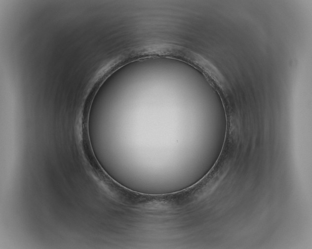 X0000110700578200906191529