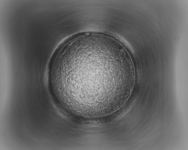 X0000110700580200906191529