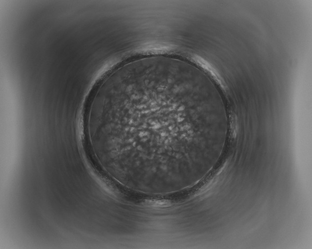X0000110700582200906191529