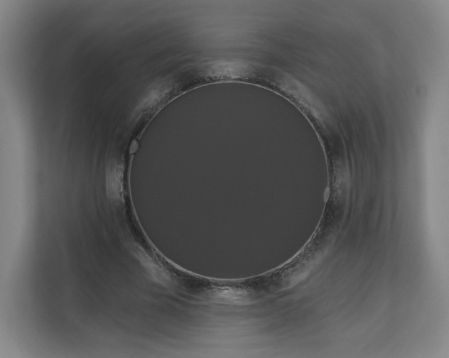 X0000110700585200906191529
