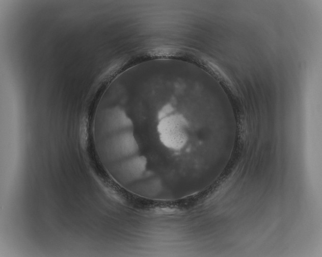 X0000110700586200906191529
