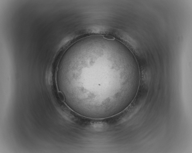 X0000110700587200906191529