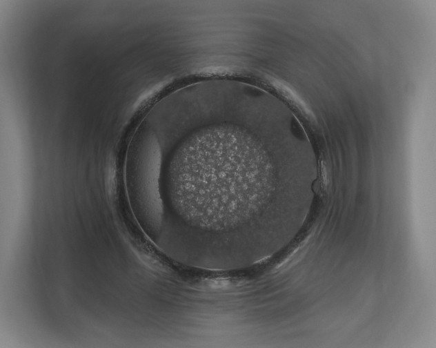 X0000110700588200906191529