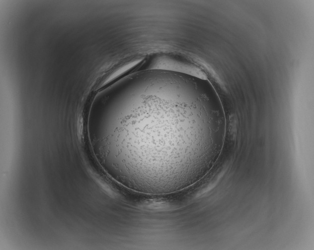 X0000110700589200906191529