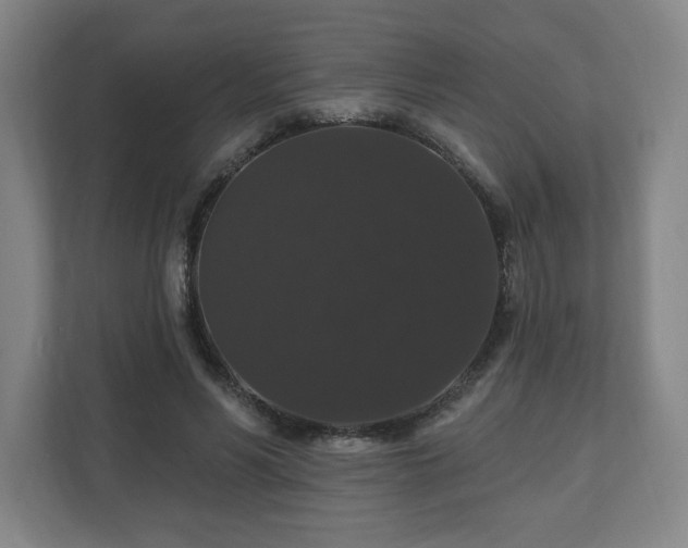X0000110700590200906191529