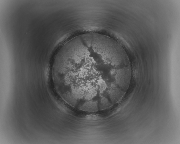 X0000110700591200906191529