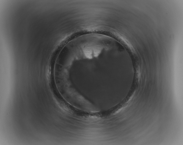 X0000110700592200906191529