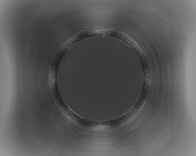 X0000110700593200906191529