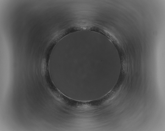X0000110700594200906191529