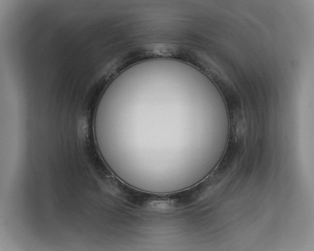 X0000110700595200906191529