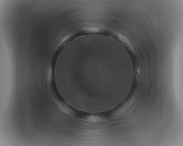 X0000110700596200906191529