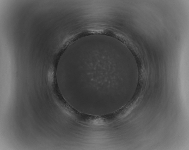 X0000110700600200906191529