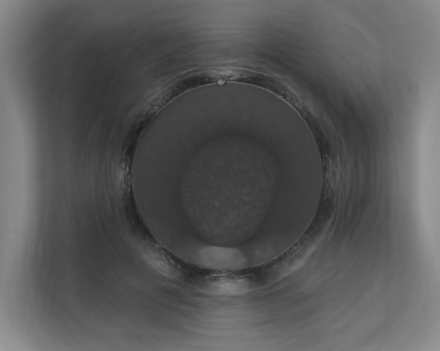 X0000110700601200906191529