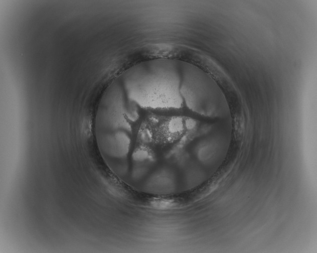 X0000110700602200906191529