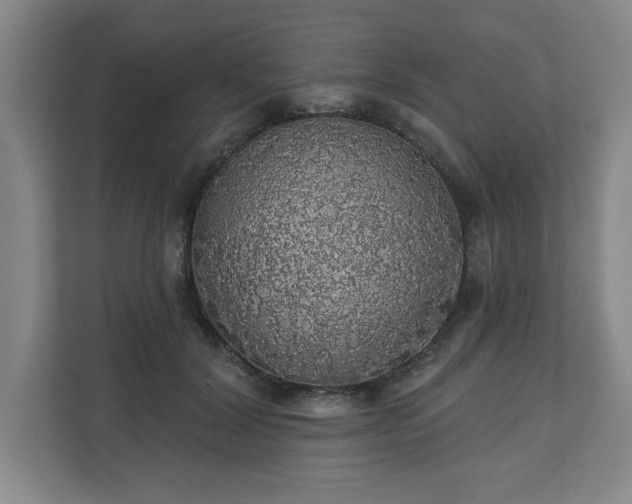 X0000110700604200906191529