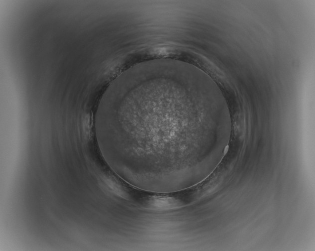 X0000110700605200906191529