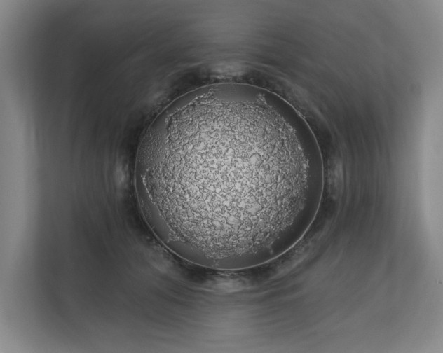 X0000110700608200906191529
