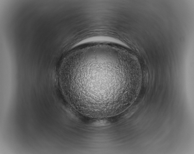 X0000110700609200906191529